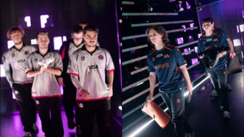 Gentle Mates e Apeks