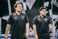 artzin koalanoob furia