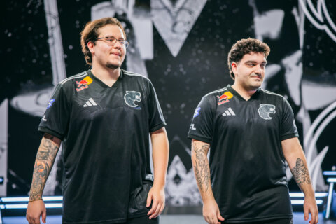 artzin koalanoob furia